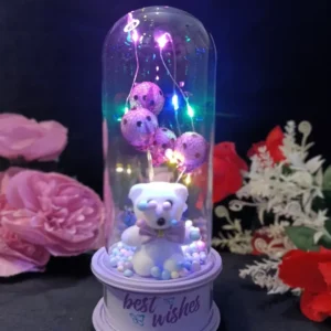 Best Wishes LED Teddy Bear Dome – A Charming LED Gift Display